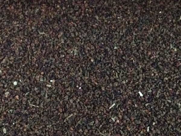 夜來(lái)香種子圖片 夜來(lái)香種子圖片